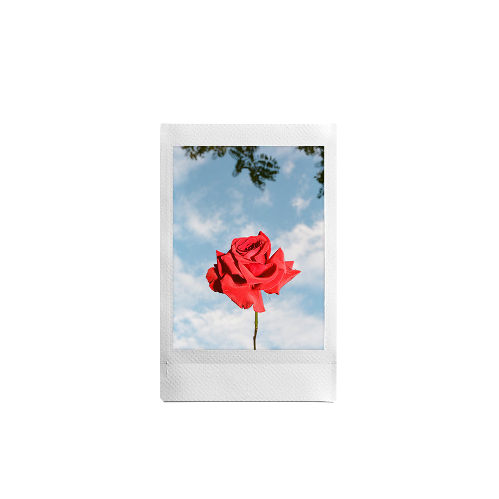 ROUGE PRINT - DIGITAL DOWNLOAD