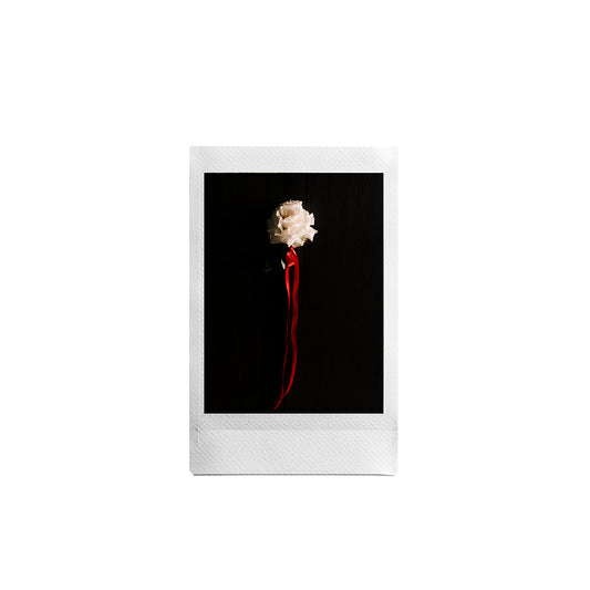 BLOOM PRINT - DIGITAL DOWNLOAD