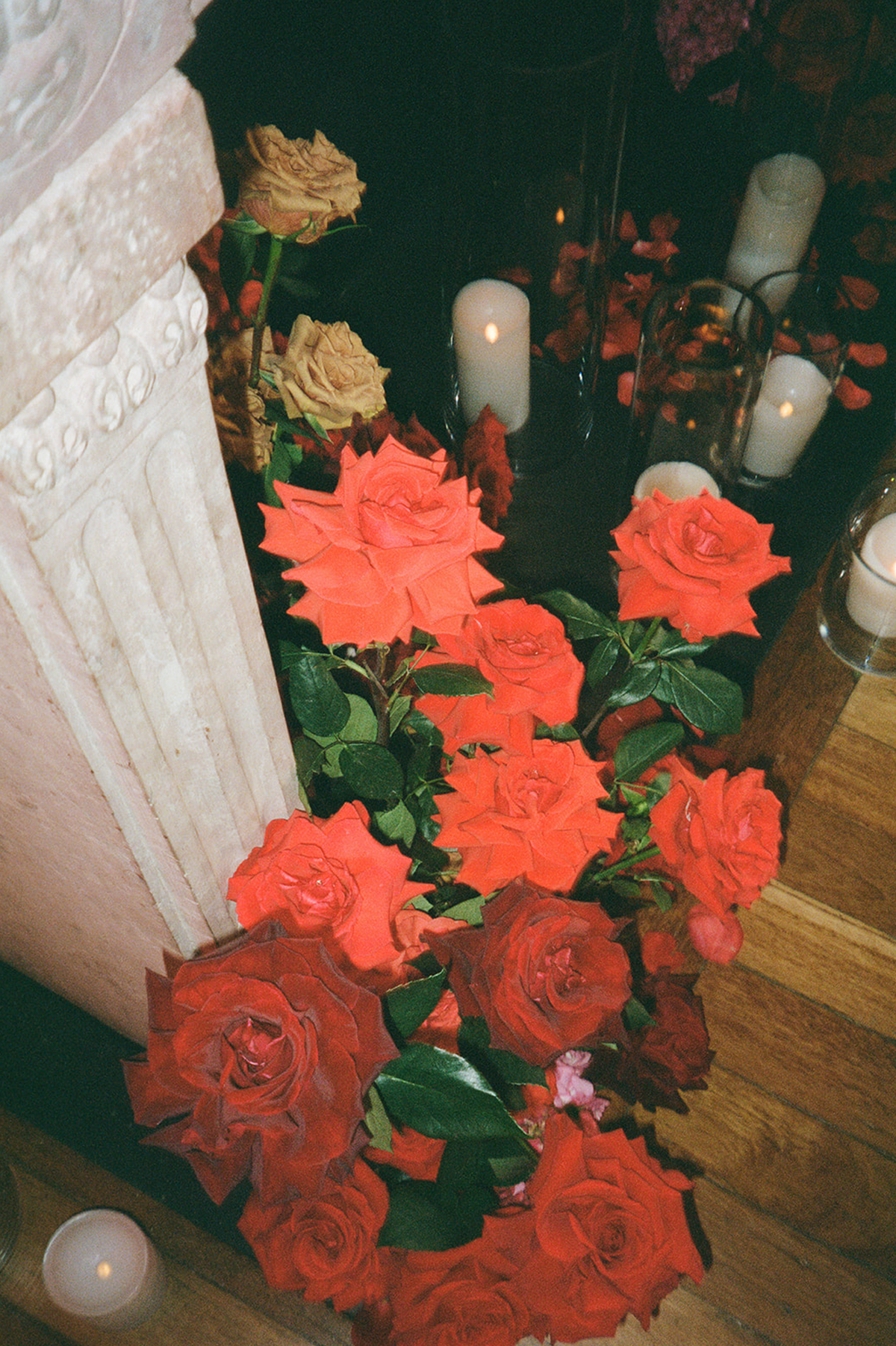 35mm Film Kodak Portra 400