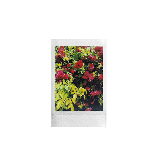 Fujifilm Instax - Add on - Personalised Instant Pic