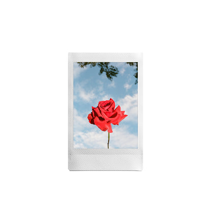 ROUGE PRINT - DIGITAL DOWNLOAD