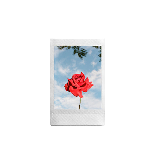 ROUGE PRINT - DIGITAL DOWNLOAD