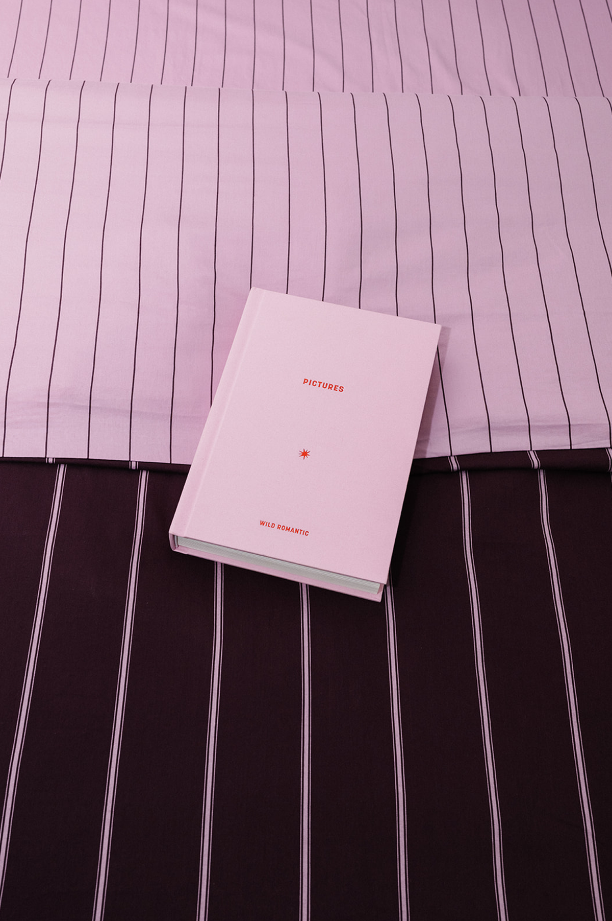 01: PICTURES ALBUM - MINI